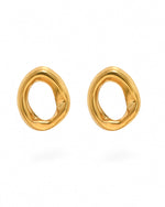 Load image into Gallery viewer, Evolve Anyway Earrings