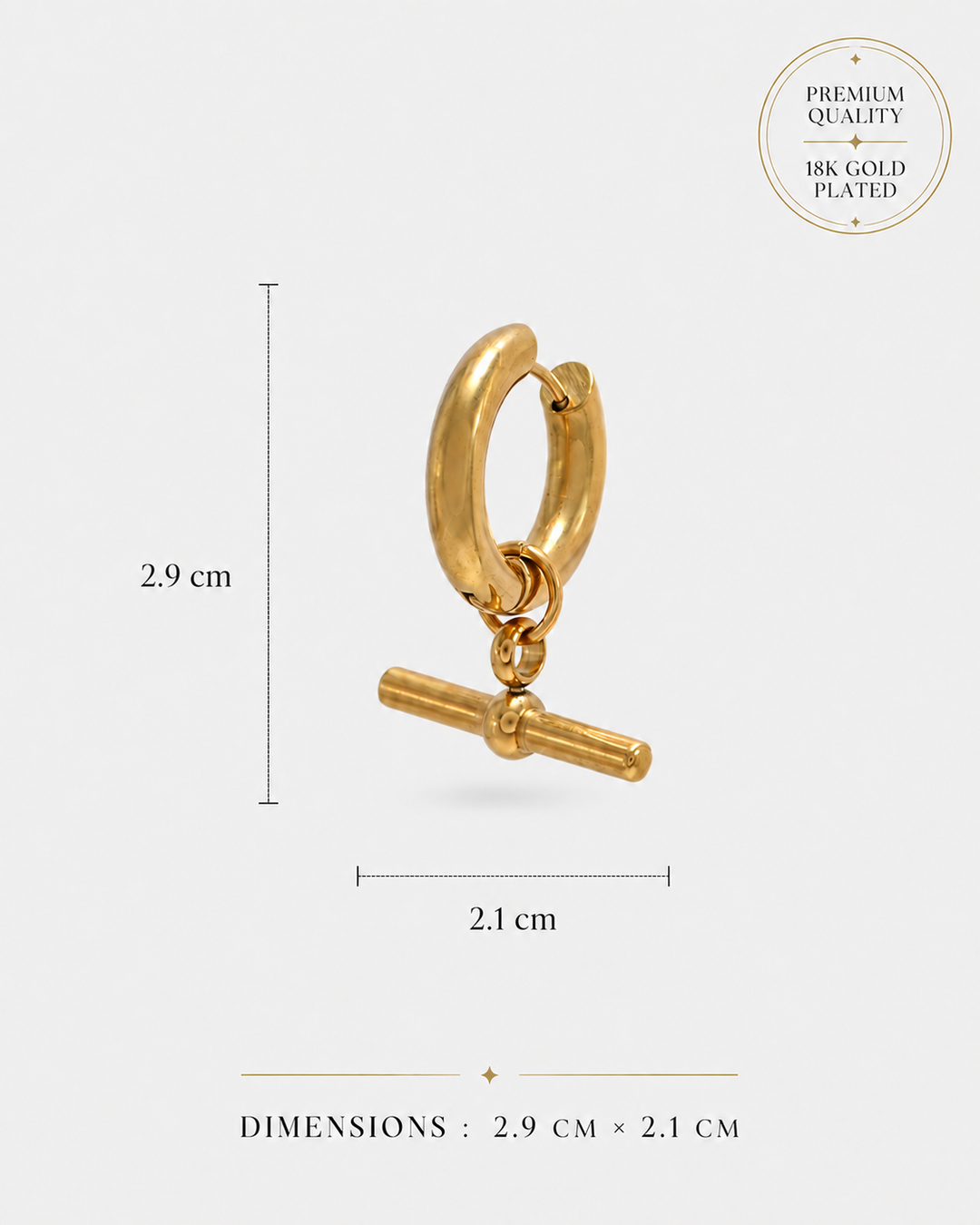 Own Your Axis Earrings