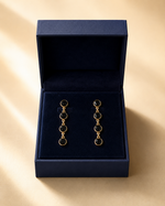 Load image into Gallery viewer, Rise In Steps Earrings
