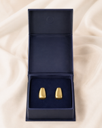 Load image into Gallery viewer, Unshaken Earrings

